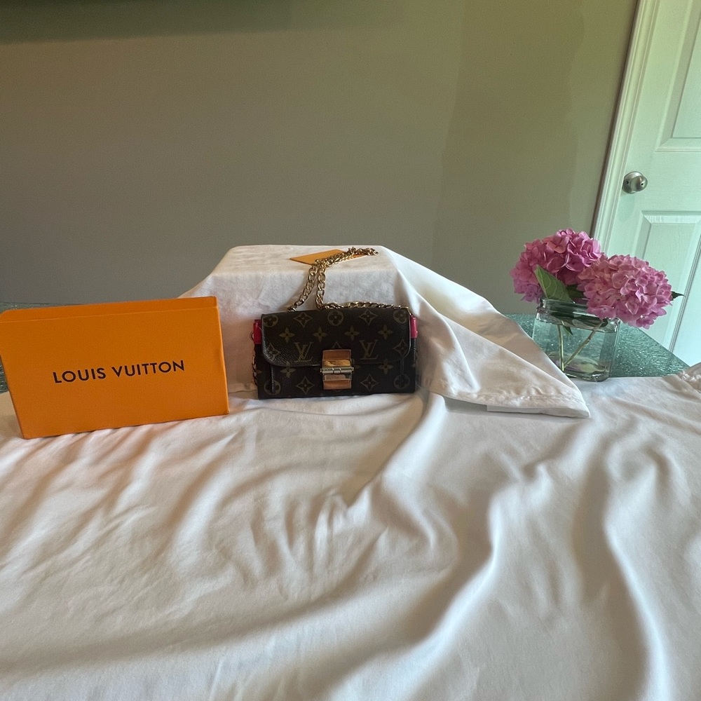 Louis Vuitton wallet on chain